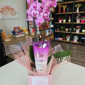 Orquídea mais creme